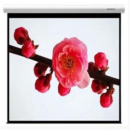 美视 LS-MA250
